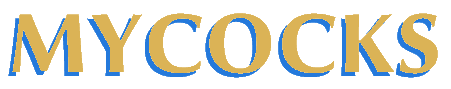 Mycooks_Logo